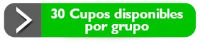 30 Cupos disponibles por grupo